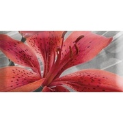 Декор Absolut Keramika Monocolor 7.5х15 Biselado Mix Flowers RBW 6
