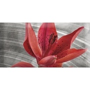 Декор Absolut Keramika Monocolor 7.5х15 Biselado Mix Flowers RBW 7