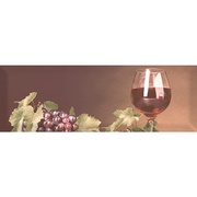 Декор Absolut Keramika Monocolor Wine 1а