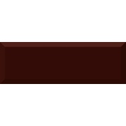 Настенная плитка Absolut Keramika Monocolor Marron Biselado Brillo