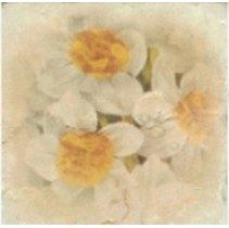 A.L.CO Ceramiche Marmi italiani Inserto Botticino Fiore 1A x A B C