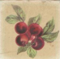 A.L.CO Ceramiche Marmi italiani Inserto Botticino Frutta 1A x ABC