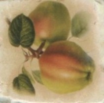 A.L.CO Ceramiche Marmi italiani Inserto Botticino Frutta 1C x ABC
