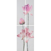 Декор Almera Ceramica Jockey Set (4) Wilma Morado/Rojo