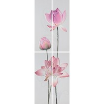 Almera Ceramica Jockey Set (4) Wilma Morado/Rojo