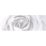 Декор Aparici Solid-Zero Vergel Decor A