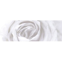 Aparici Solid-Zero Vergel Decor A