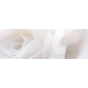 Декор Aparici Solid-Zero Vergel Decor B