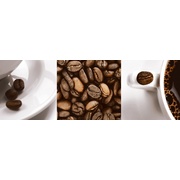 Декор Aparici Solid-Zero Café Décor B