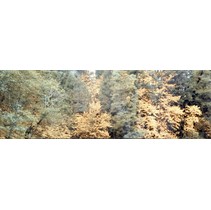 Aparici Solid-Zero View Décor D