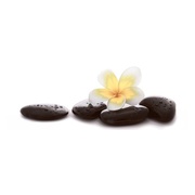 Декор Aparici Statuario Perfect Decor A
