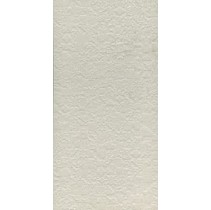 Apavisa Nanoeclectic (Slim) Decor WHITE