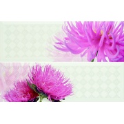 Декор Ape ceramica Life Set (2) Pasione Blanco