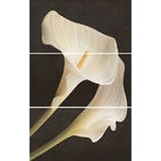 Декор Ape ceramica Armonia Set (3) Tropical Blanco (отпуск.компл. 3 шт)