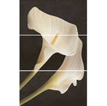 Ape ceramica Armonia Set (3) Tropical Blanco (отпуск.компл. 3 шт)