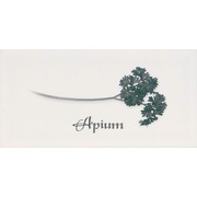 Декор Ape ceramica Biselado Apium Blanco