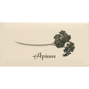 Декор Ape ceramica Biselado Apium Crema