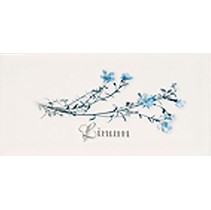 Ape ceramica Biselado Linum Blanco