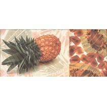 Ape ceramica Coast Colada