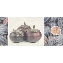 Ape ceramica Coast Hawai