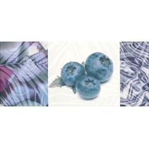 Ape ceramica Coast Tutti Fruti