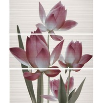 Ape ceramica Liberty Set (3) Casanova/Liberty Perla
