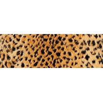 Ape ceramica Life OKAVANGO