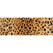 Декор Ape ceramica Life OKAVANGO