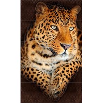 Ape ceramica Life SET(5) BOTSWANA 20*60