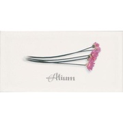 Декор Ape ceramica Metro Decor Alium Blanco
