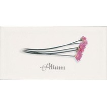Ape ceramica Metro Decor Alium Blanco