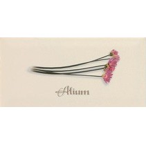 Ape ceramica Metro Decor Alium Crema