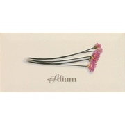 Декор Ape ceramica Metro Decor Alium Crema
