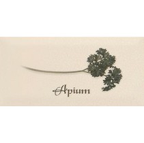Ape ceramica Metro Decor Apium Crema