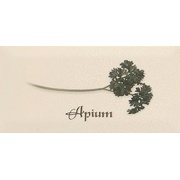 Декор Ape ceramica Metro Decor Apium Crema