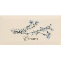 Ape ceramica Metro Decor Linum Crema