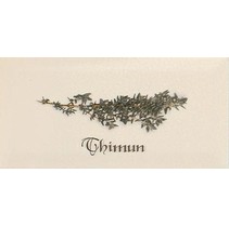 Ape ceramica Metro Decor Thimun Crema