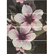 Ape ceramica Montecarlo Decor Set (4) Virgine Vulcano