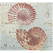 Декор Ape ceramica Purity Decor Ocean II Aqua