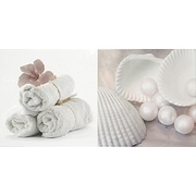 Декор Ape ceramica Rue Chambon Dec Bath I
