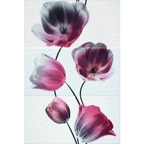 Aranda Vanity Dec. Vanity set. 3 (3 шт.)