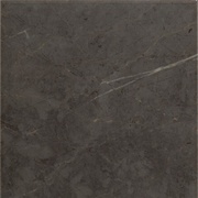 ΠΠ°ΠΏΠΎΠ»ΡΠ½Π°Ρ ΠΏΠ»ΠΈΡΠΊΠ° Argenta Crystal Dark
