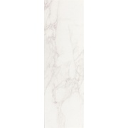 ΠΠ°ΡΡΠ΅Π½Π½Π°Ρ ΠΏΠ»ΠΈΡΠΊΠ° Argenta Crystal White