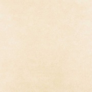 Напольная плитка Argenta Zeppelin Cream (gres)