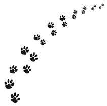 Артвалентто Black cat Black cat 3 Декор 10х10