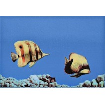 Атем Mono Fish 3