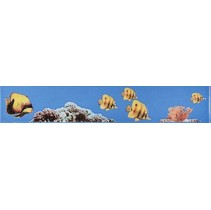 Атем Mono Fish Синий BL