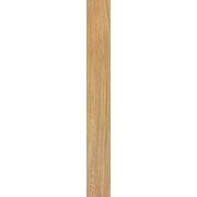Напольная плитка Atlas Concorde Etic Rovere-2
