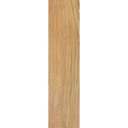 Напольная плитка Atlas Concorde Etic AJ8D Rovere Ret