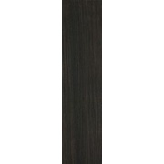 Напольная плитка Atlas Concorde Etic AJ8I Ebano 22.5